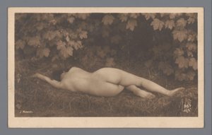 草の中に横たわって後ろから見た裸の女性 作： Julien Mandel