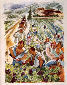 Vinhedo Francês. 1944. Ilustração de Julien Pavil