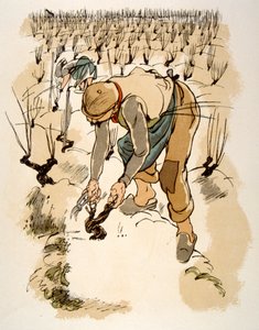 Humoristinen viinikuvitus 1946. Kuvitus Julien Pavil