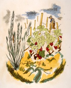 ユーモラスなワインのイラスト 1946.Illustration by Julien Pavil