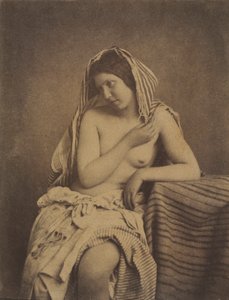 自然の後の研究、c。 1853-1855。 作： Julien Vallou de Villeneuve