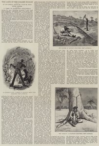 ゴールデンナゲットの国、阪南のゴールドフィールドへの訪問 作： Julius Mandes Price