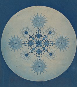 [珪藻類のフラストル」、1870年頃。 作： Julius Wiesner.