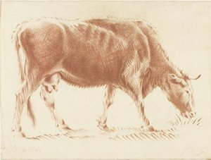 牛の放牧 作： Jurriaan Cootwijck