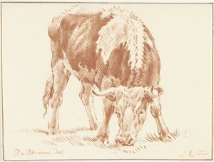 グラゼンデ 作： Jurriaan Cootwijck