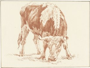 グラゼンデ 作： Jurriaan Cootwijck