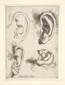 四耳研究 作： Jusepe de Ribera