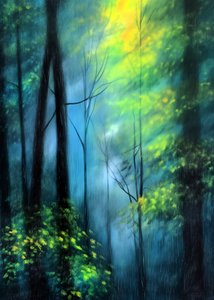 魔法の森の輝き 作： 
