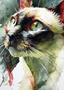 生き生きとしたシャム猫の眼差し