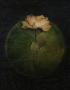  作： 