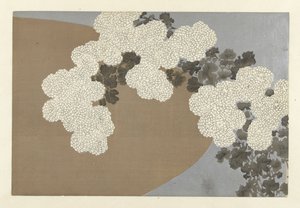 菊、1909年（木版画） 作： Kamisaka Sekka