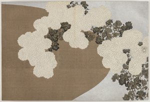 百世草（ももよぐさ）：菊（ももよぐさ） 作： Kamisaka Sekka