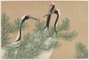 百世草（ももよぐさ）：鶴（つる）