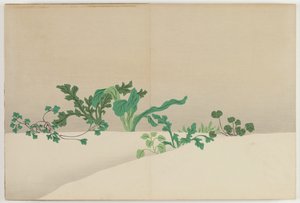 百世の花（ももよぐさ）：早春の七草（ななぐさ） 作： Kamisaka Sekka