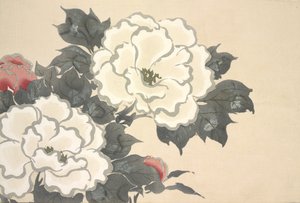 もみよぐさ 『深海グサ』（世界のモノ）第1巻、1909年（版木版）