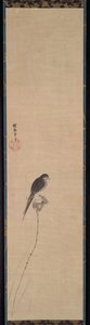 蓮のつぼみの鳥 作： Kanō Tan’yū
