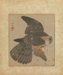 鷹匠と書のアルバム 17～18世紀