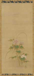 セットのハイビスカス 江戸時代 17世紀中頃～18世紀初頭 作： Kanô Yôboku Tsunenobu