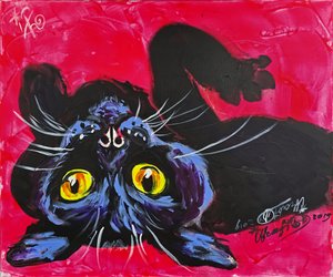 好奇心旺盛な黒猫