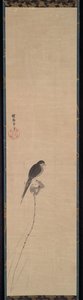ハスのつぼみにとまる鳥、1600 年代。 作： Kanō Tan’yū