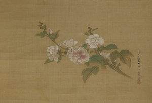 開花ハイビスカスの枝、江戸時代（絹の色）