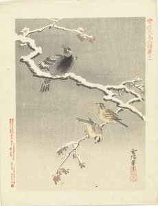 雪に覆われた枝に 3 羽の鳥 狩野常信 花鳥画（シリーズ名） 狩野常信課長画譜 作： Kano Tsunenobu