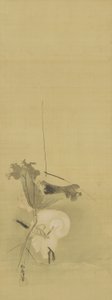 サギとハス、江戸時代、17世紀初頭から18世紀初頭（絹にインクと色） 作： Kano Tsunenobu
