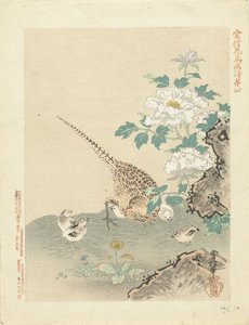 ウズラとひよこ 狩野常信 花鳥画（シリーズ名） 狩野常信課長画譜