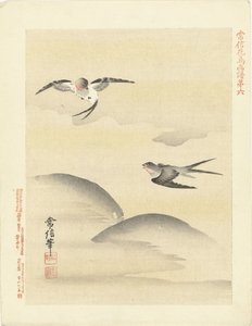 2羽のツバメ 狩野常信 花鳥画（シリーズ名） 狩野常信課長画譜 作： Kano Tsunenobu
