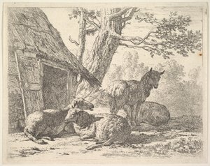 4頭の羊、1頭の羊が他の3頭の中に立って、1658の小屋の隣の地面に横たわっています。 作： Karel Du Jardin