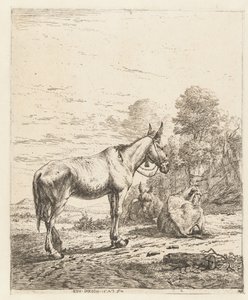 ホルターにベルと 2 つの横になっているロバのラバ 作： Karel Du Jardin