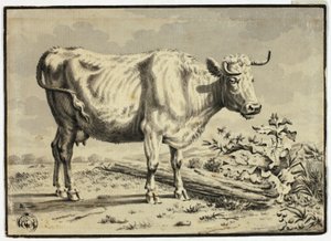 牛 作： Karel Dujardin
