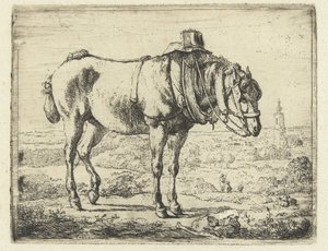 働き者として装備された馬 作： Karel du Jardin (possibly)