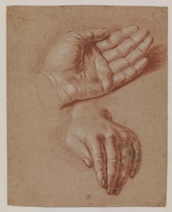 両手の研究。 作： Karel van III Mander