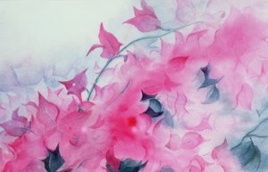 ブーゲンビリア 作： Karen Armitage