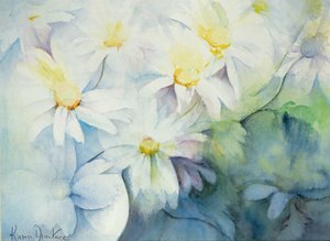 ヒナギク、シャスタ 作： Karen Armitage