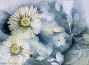 Gerbera Jameson II 作： Karen Armitage