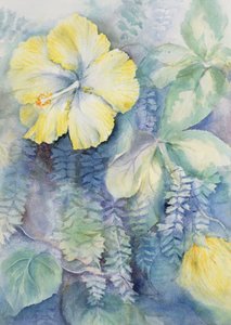 ハイビスカス、黄色 作： Karen Armitage