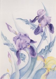 アイリス、ブルーマーレ 作： Karen Armitage