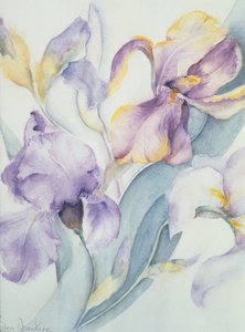 アイリスミックス、オラケール、メアリートッド 作： Karen Armitage