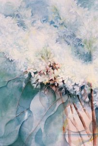 ライラック、モードノーカット 作： Karen Armitage