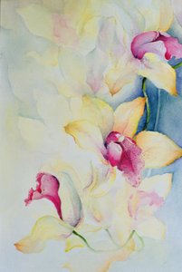 蘭、シンビジウム、チャールズ王子 作： Karen Armitage