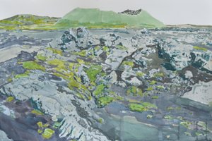苔むした火山の風景