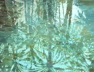  作： Karin Bos