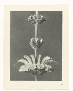 研究を計画する Archetypes of Art (シリーズタイトル)