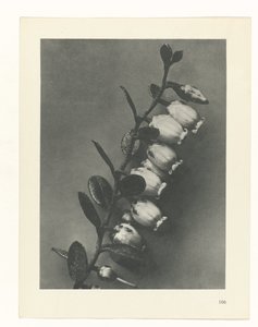 研究を計画する Archetypes of Art (シリーズタイトル)