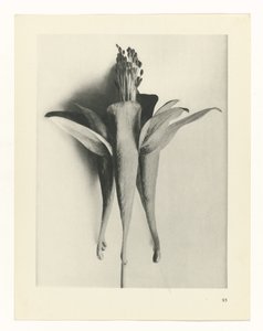 研究を計画する Archetypes of Art (シリーズタイトル)