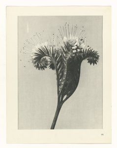 研究を計画する Archetypes of Art (シリーズタイトル)