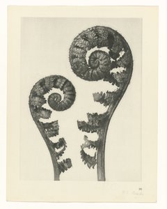 研究を計画する Archetypes of Art (シリーズタイトル)