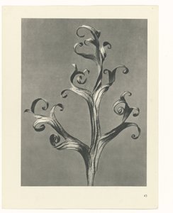 研究を計画する Archetypes of Art (シリーズタイトル)